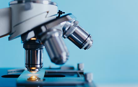 体外吸收、分布、代谢、排泄和毒性|研究