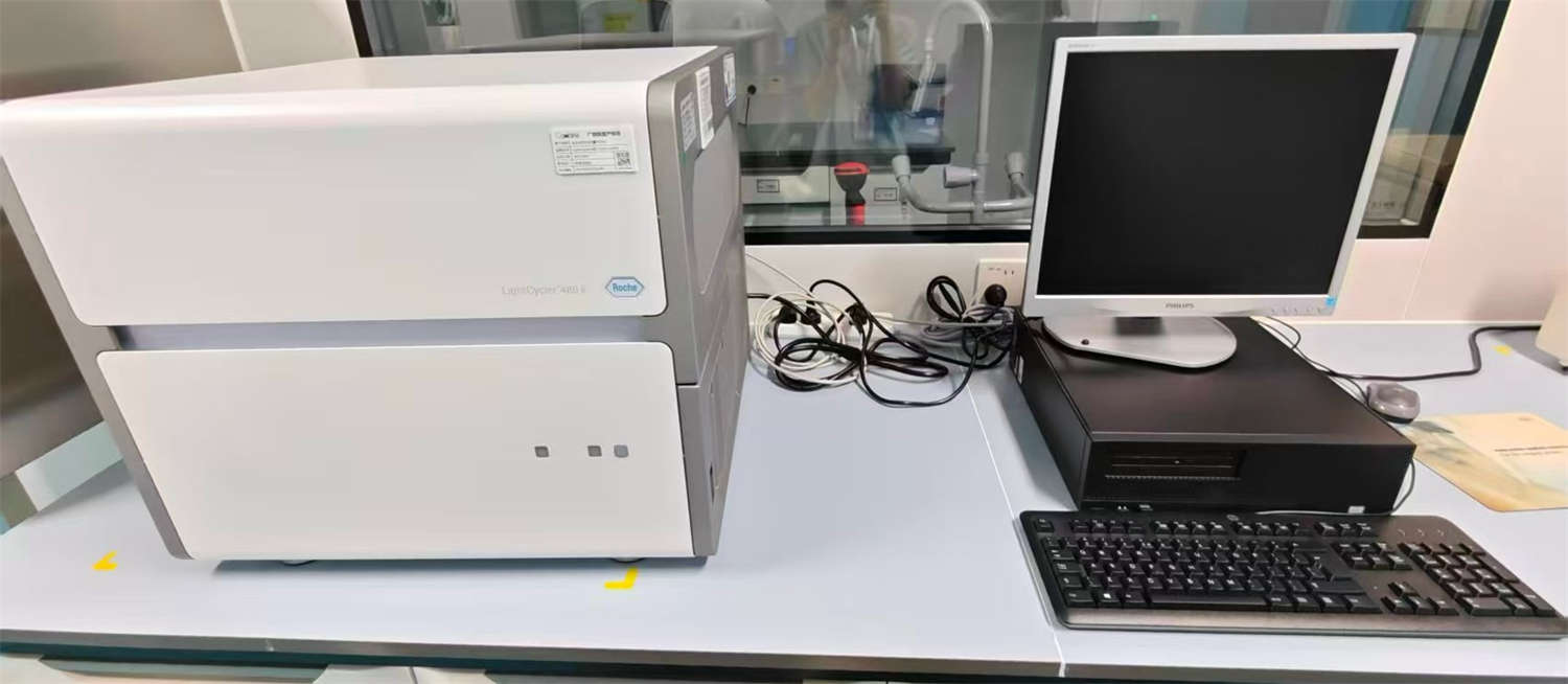 药代动力学分析