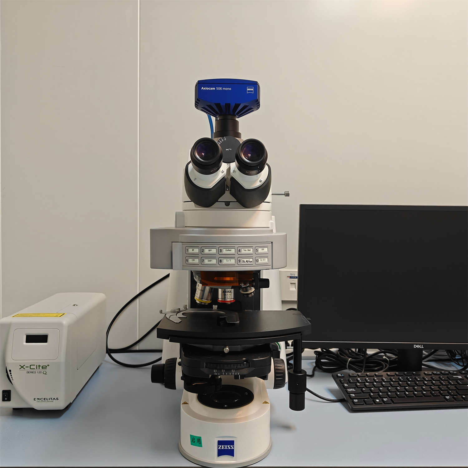 正置荧光显微镜